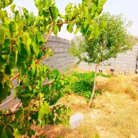 باغ-ویلا950-متر-ملکی