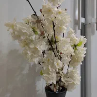 گلدان چوبی|صنایع دستی و سایر لوازم تزئینی|تهران, نظام‌آباد|دیوار