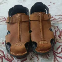 صندل بلوچی اصل المصیر نو نو