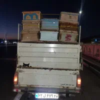 وانت بار|خدمات حمل و نقل|ماکو, |دیوار