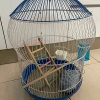 قفس پرنده عروس هلندی و کاسکو نو