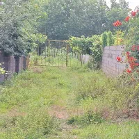 فروش ۳۰۰ متر زمین مسکونی چهاردیواری با درختان میوه