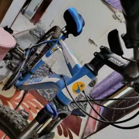 دوچرخه اینتنس اصل