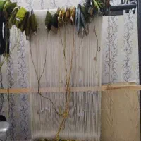 دار قالی تابلو فرش