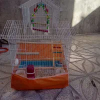 مقداری وسایل پرنده.