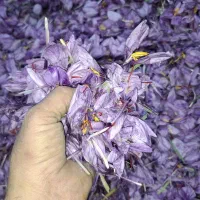 پایگاه گل زعفران|خوردنی و آشامیدنی|سرایان, |دیوار