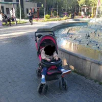 کالسکه در حد کاملا نو دخترانه. کاملا امن .|کالسکه و لوازم جانبی|تهران, مجیدیه|دیوار