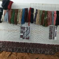 فرش نیمه کاره ۲در۳|فرش|زنجان, |دیوار