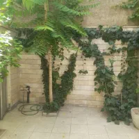شهرک-ولیعصر-واحد-50-متری-تمیز-رنگ-شده-حیاط-وانبار