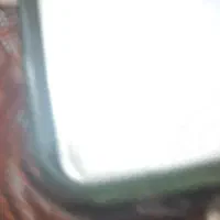 فروش لوازم کبابی|کافی‌شاپ و رستوران|بابلسر, |دیوار