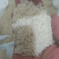 زیرقیمت کل بازار ایران|خوردنی و آشامیدنی|تاکستان, |دیوار