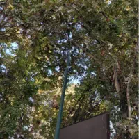 تابلو LED شهری|فروشگاه و مغازه|تهران, الهیه|دیوار