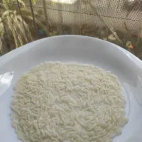 برنج هاشمی درجه یک