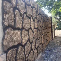 سیمانطرح دار، طرح سنگ،طرح چوب،تگری