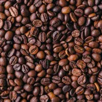 دان سبز قهوه