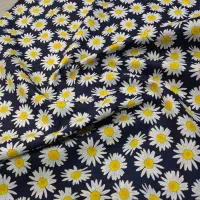 دم کنی و دستگیره