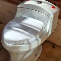 توالت فرنگی