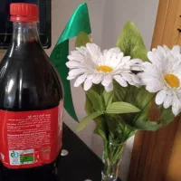 رب انار عالی