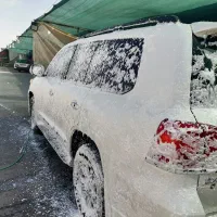 تعدادی نیرو برای کارواش