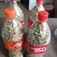 باقلا مازندارانی|خوردنی و آشامیدنی|رودبنه, |دیوار