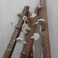 سه تار  نو  با صدای زیاد