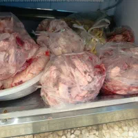 اسکلت مرغ غذای سگ