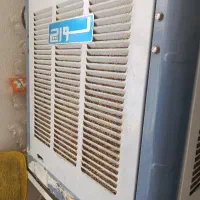 کور آبی لورچ