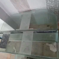 فروش اکواریوم فوری