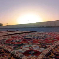 قالیشویی پاکریس|خدمات نظافت|پیشوا, |دیوار