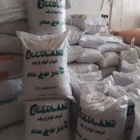 مخلوط ویژه عروس هلندی غذای کامل طوطی سانان