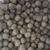 گردوی پر چرب و خوشمزه