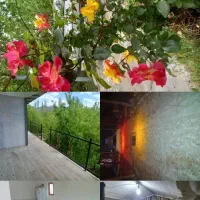 اجاره خانه باغ  و سوئیت