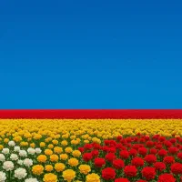 منزل نوساز حاجی آباد نی ریز