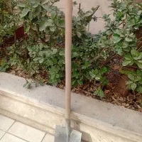 فرغون و بیل و کلنگ|ابزارآلات|قزوین, |دیوار