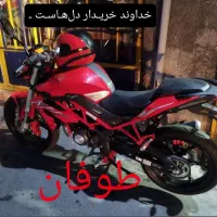 طبیعت گردی با بنلی