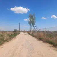 زمین-سنددار-تک-برگ7600-متری