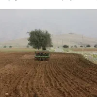 اجاره زمین کشاورزی لب جاده اصلی