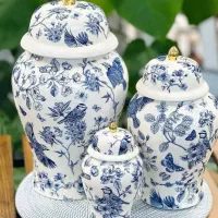 ست جینجرجار