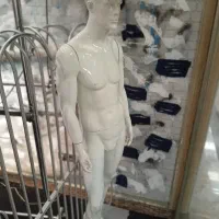 مانکن رگال مبل پرو پنکه جاروبرقی پرتابل رینگ لایت|فروشگاه و مغازه|تهران, تهرانپارس جنوبی|دیوار