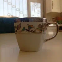 سرویس چای خوری 18 پارچه|ظروف سرو و پذیرایی|شهریار, شهرک وائین|دیوار