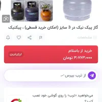 پیکنیک پیدا شده