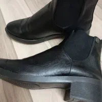 پوتین نو