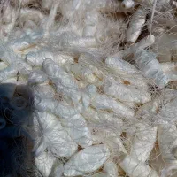 پلی استر ، پنبه ،  نخ پلی استر و پنبه