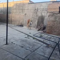 فروش خانه ویلایی|فروش خانه و ویلا|شاهین دژ, |دیوار