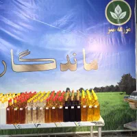 روغن سیاهدانه خالص هندی بصورت عمده