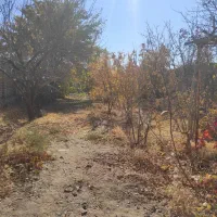 زمین دور دیوار 920متری / باغرود|فروش خانه و ویلا|نیشابور, فضل|دیوار