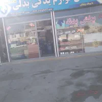 پخش بدنه سپر چراغ