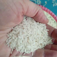 برنج طارم هاشمی محصول خودم