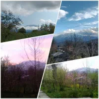 ویلا باغ مسکونی ۳۱۰۰ متر سنددار|فروش خانه و ویلا|رشت, بلوار گیلان|دیوار