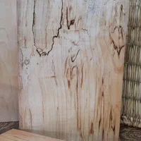 تخته گوشت چوبی|ظروف پخت‌وپز|رشت, هلال احمر|دیوار